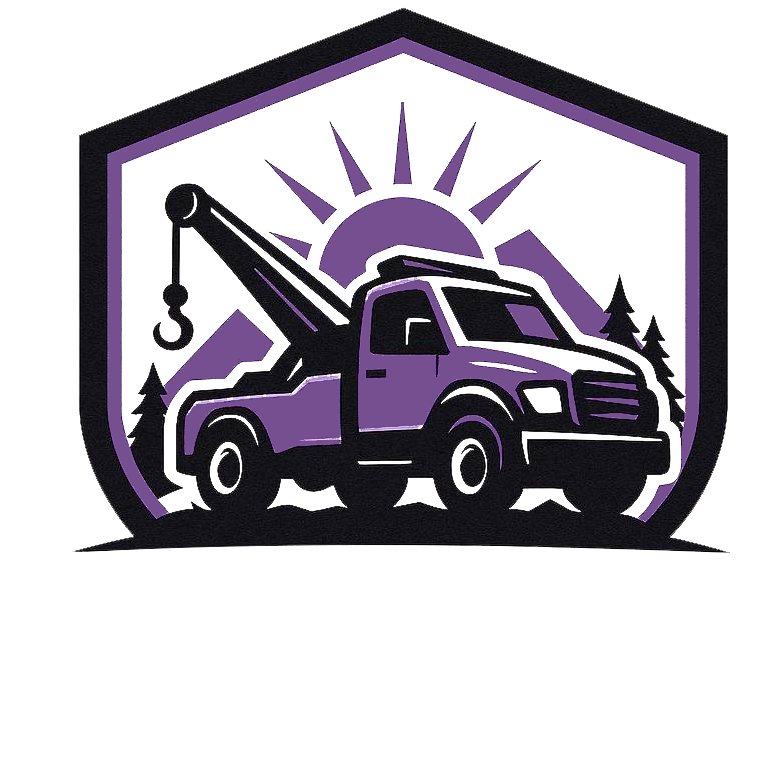 National Retrieval Solutions logo